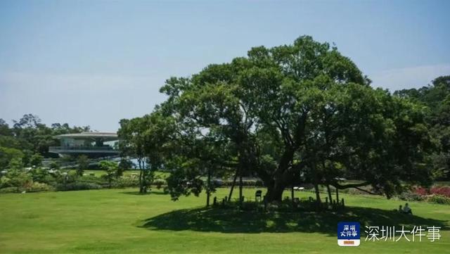 一半山海，一半诗：盐田如何用“美学”留住人心？