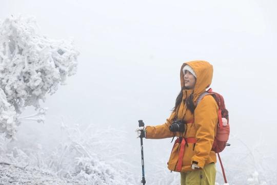 贵定：元龙山雪景醉游人