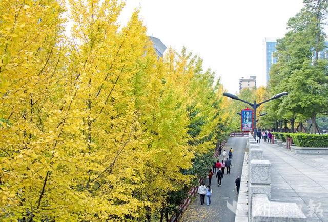 恩施市：山城冬韵秋色惹人醉