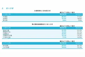 V观财报｜中芯国际上半年净利同比降62.7%图片