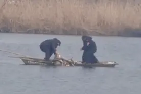 江苏沛县安国湖管理人员监守自盗网鱼数百斤？涉事单位：歪曲事实图片