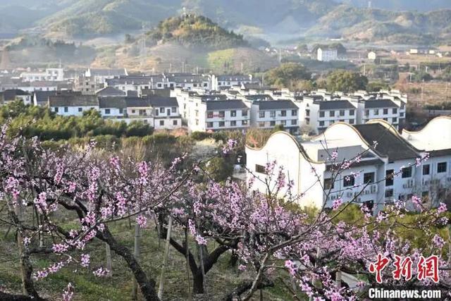 人这一辈子，一定要去一趟奉化！