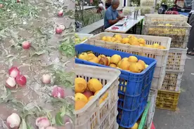 山东蒙阴突降冰雹砸烂蜜桃，当地：保险公司正开展理赔视频封面