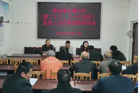 以“述”亮绩 以“评”促干——巴中市巴州区梁永镇扎实开展“直选人大代表述职月”活动图片