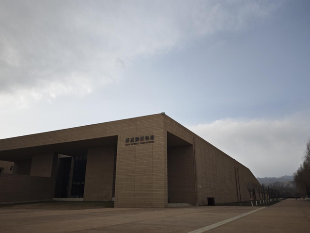 申遗成功的西夏陵带旺西夏区