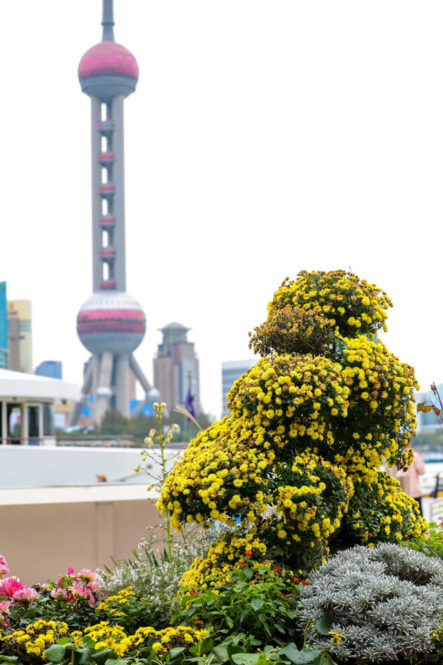 上海这里变身花花世界！38组绝美花境作品免费打卡→