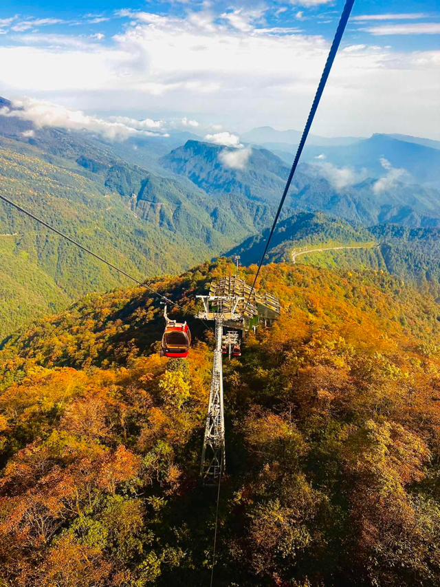 来瓦屋山沉浸式徒步！与漫山秋色撞个满怀！