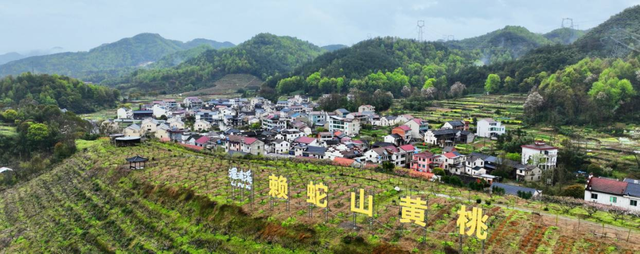 藏不住了！诸暨9个村，周末走起~