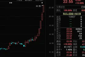比锑还猛！单日暴涨超23%，年内涨幅近90%，这种战略小金属价格起飞图片