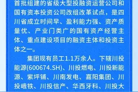 【社招】四川省投资集团有限责任公司2024年上半年公开招聘图片