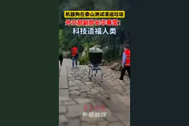 记者在岱顶“逮”到了它！独家揭秘！火爆全网的泰山机器狗，到底什么来头？图片