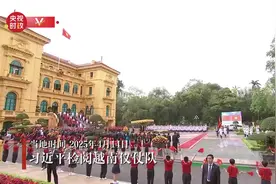 独家视频丨习近平检阅越南仪仗队图片