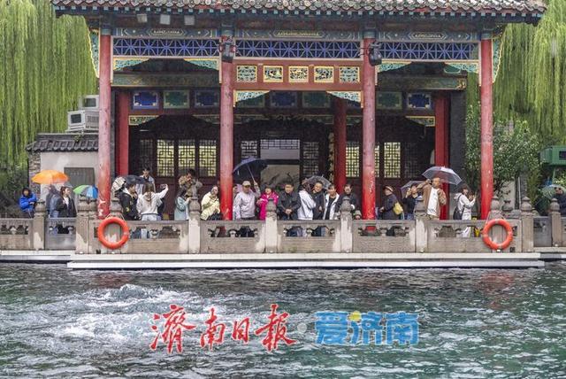 一年四季 泉在济南丨秋雨添活力，济南泉水焕发新生机