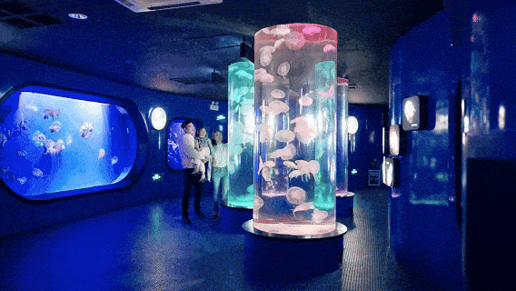 海底世界 2026 “宠粉”ing~提前1天预约即可¥99“惠享”海底世界的梦幻之旅！