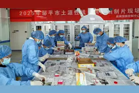邹平市圆满完成2025年土源性线虫病监测工作图片