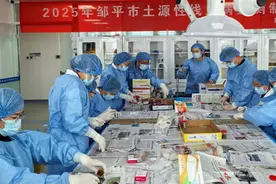 邹平市圆满完成2025年土源性线虫病监测工作图片