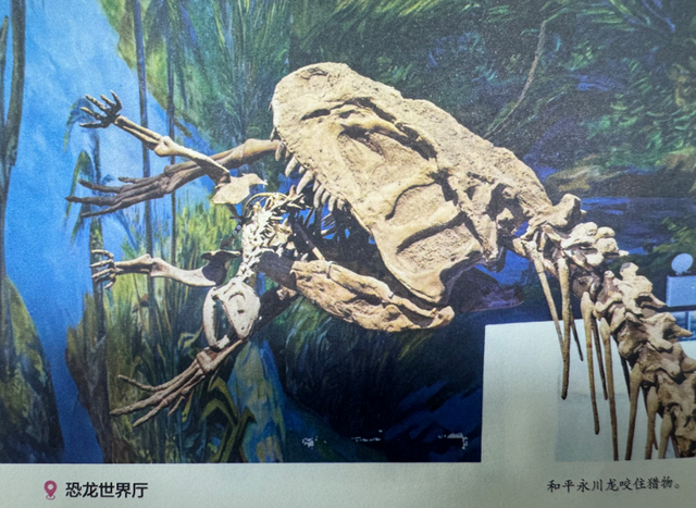 四川自贡的恐龙博物馆，比电影精彩！