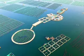 闪电评论｜向海图强，书写新时代山东海洋新篇章图片