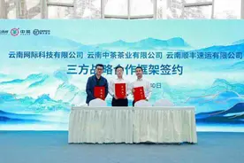 助力云品出滇，云南网与云南中茶、云南顺丰签署战略合作协议图片