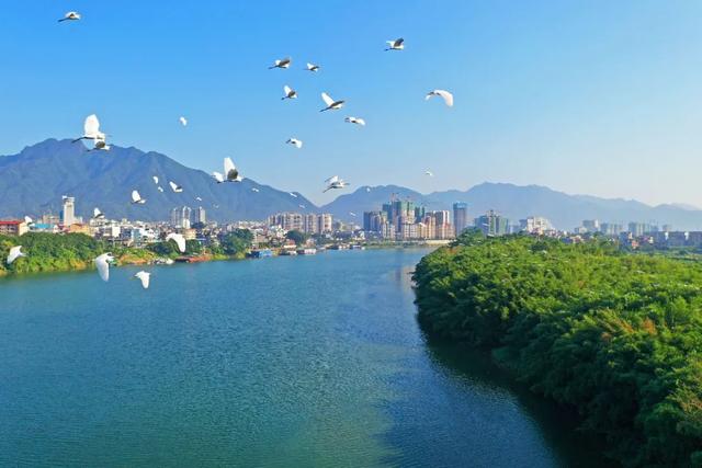 2.5h缩短至1h车程!趁高速通车来这两座宝藏小城,品品茶香和诗意……