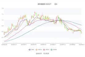 深圳能源：2024年上半年净利润17.54亿元 同比下降6.60%图片