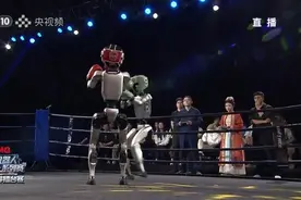 机器人在格斗大赛打裁判？摔倒、KO、站起再战图片