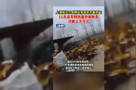 上海街头万余辆共享单车不翼而飞，11名盗车贼批量拆解贩卖，涉案上千万元图片