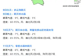 武汉要下雪了！最低气温-3℃，还有7级大风，专家：易引发呼吸道、心脑血管等疾病图片