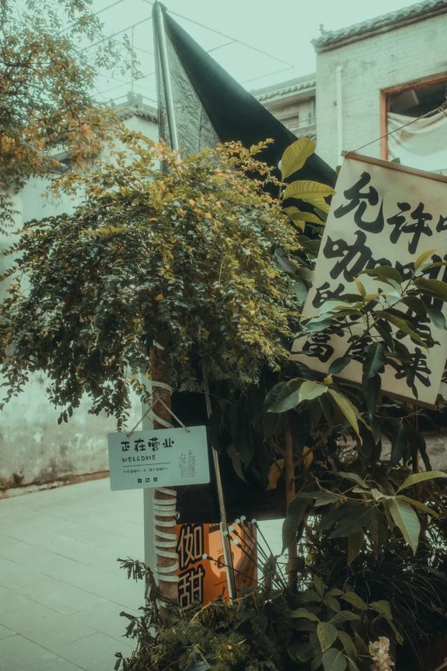 用CityWalk的方式,和蓝天Say Hi~