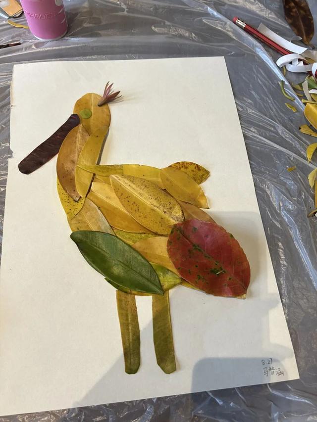 东寨港红树林研学进行时，自然课堂里的欢乐时光～