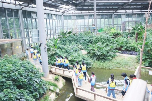 走！跟着研学少年们触摸历史、解锁科技、探寻自然！