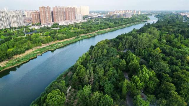 豫见两山 绿色答卷丨生态之旅——打卡“豫东明珠”永城