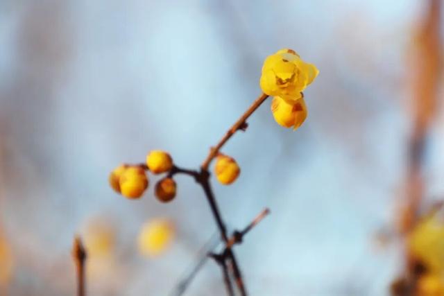 “Mei，我在连云港想开了！”