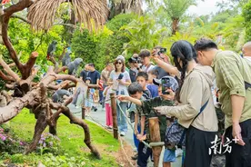 “五一”成绩单出炉！广东假期接待游客4608.2万人次，同比增长18.7%图片