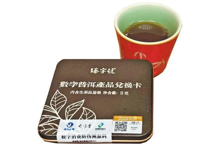 当数字普洱、数字榴莲在河南生长丨经探号
