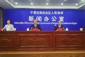 宁夏 将滚动接续向民间资本推介项目 力争民营经济总量占GDP比重突破50%图片