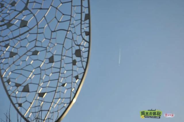 树林里“开”出雕塑盲盒？郑州这个宝藏公园等你解锁