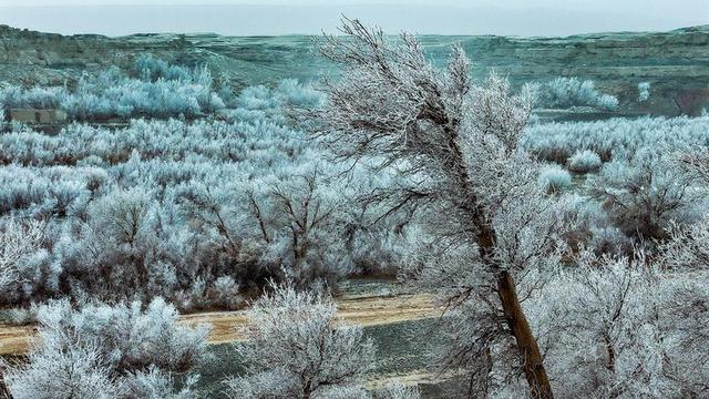 新疆托克逊县天山红河谷现雾凇景观 玉树琼枝映赤壁