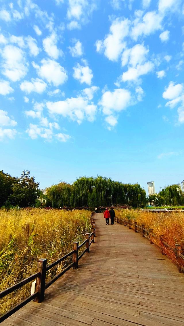 “山东邂逅美”摄影大赛｜孙武湖畔景色美