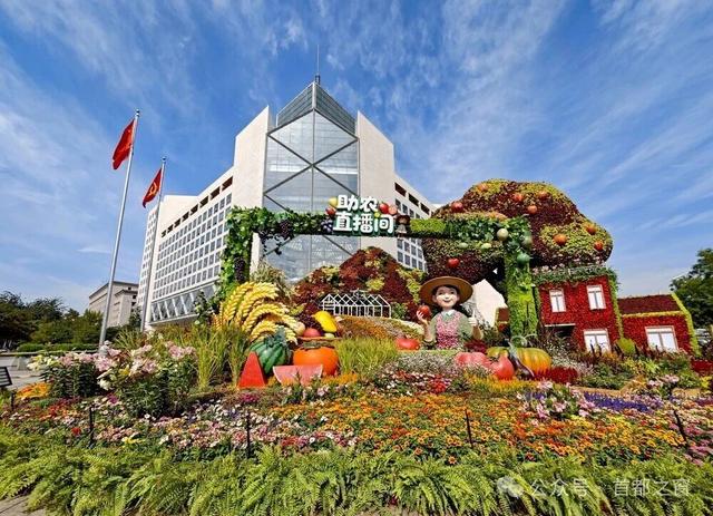 天安门广场国庆大花篮+长安街沿线花坛实拍图→