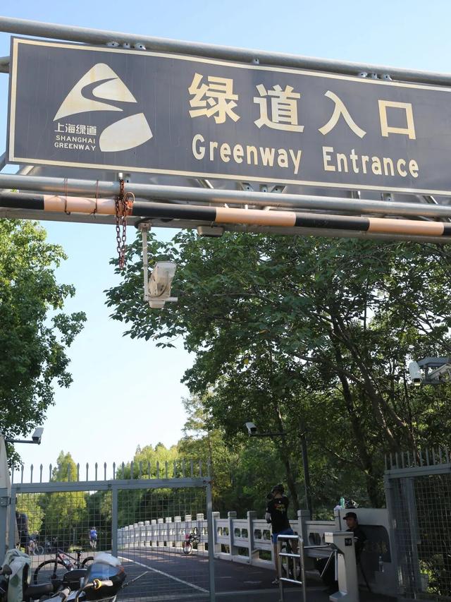 出发！可能是上海最清凉的骑行线！