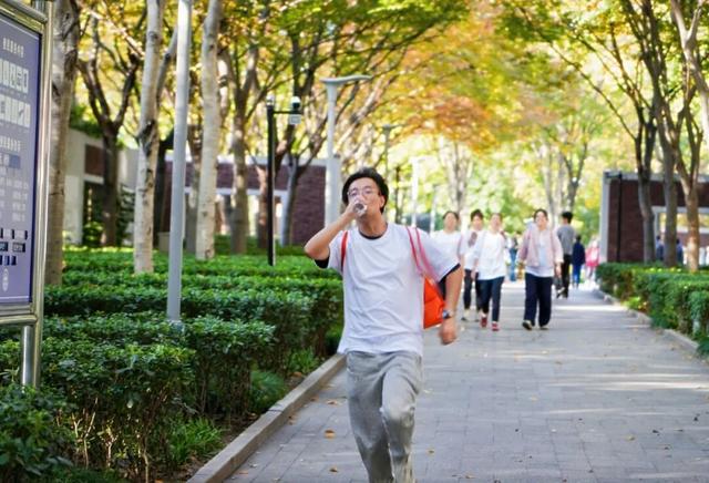 打卡6个地标，这里风景最美！长宁区市民绿化定向赛开赛→