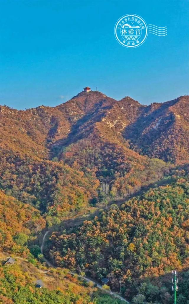 金秋重逢乐威海丨沐风追光·山海自驾之旅