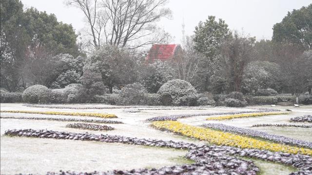 定格浪漫！吴江初雪美景图鉴！