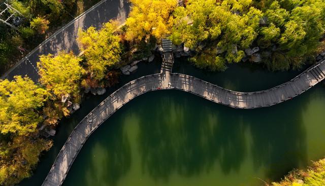 美丽中国丨塞上湖城秋意浓