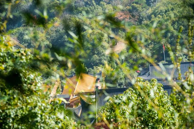 @0731，一组绿心秋色卡，请查收！