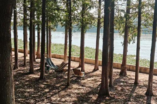 人在画中游！来上海郊野，骑进自然乡野秋韵里