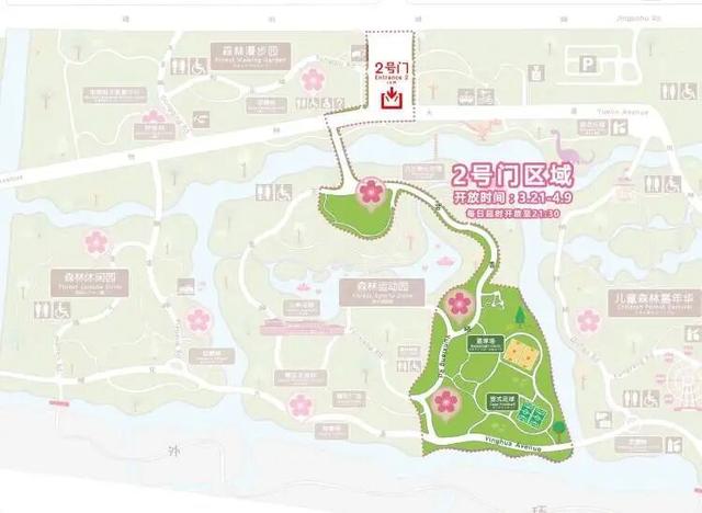 2026上海樱花节来了！首推“景随花移”夜游新模式，活动多元体验感“拉满”