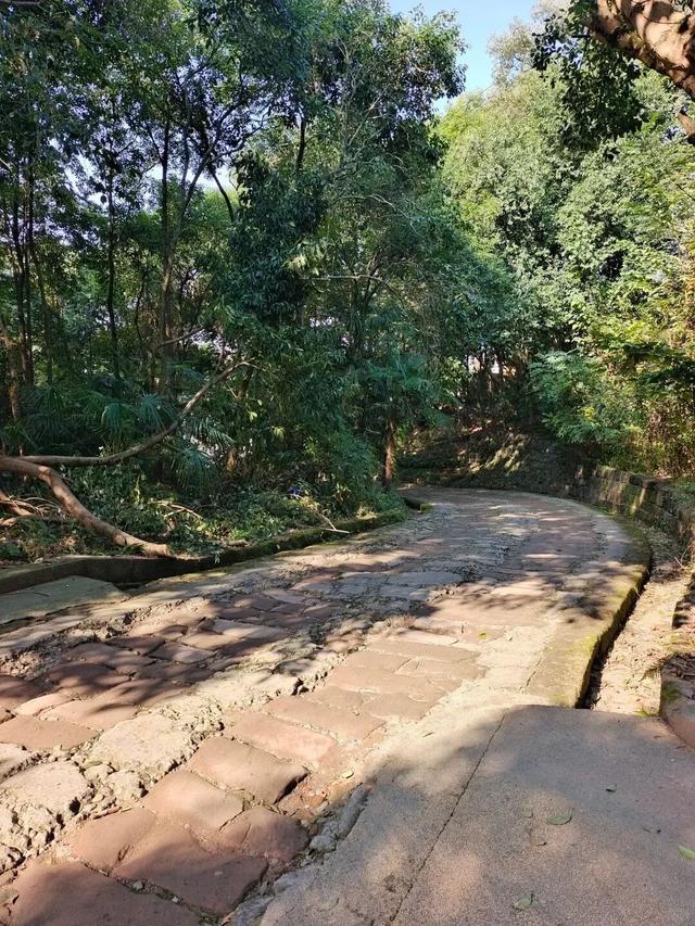 新津人速藏！冬日公园晒太阳的神仙去处