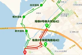 加码观鸥季！昆明公交新增免费专线直达海埂大坝车场图片